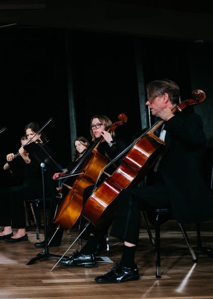 performer-in-the-chamber-strings-ensemble